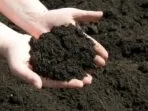How to make the soil fertile and soft