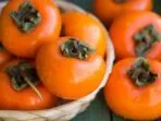 Persimmon varieties with names, photos and descriptions