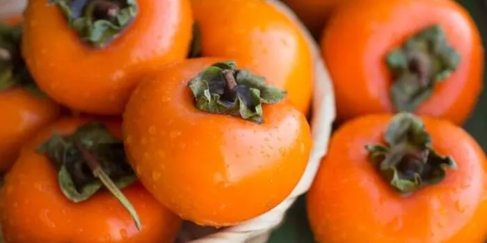 Persimmon varieties with names, photos and descriptions