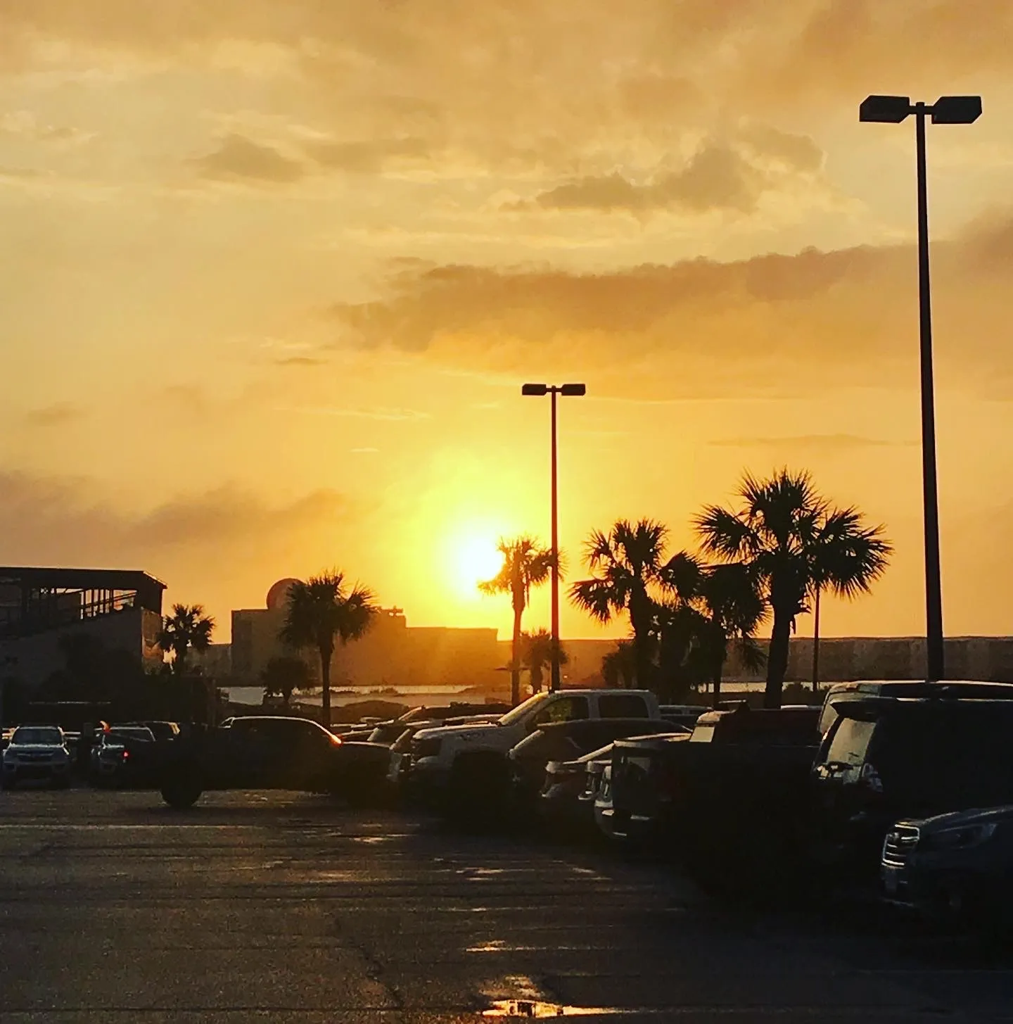 The 4 Things ALL Articles Must Have